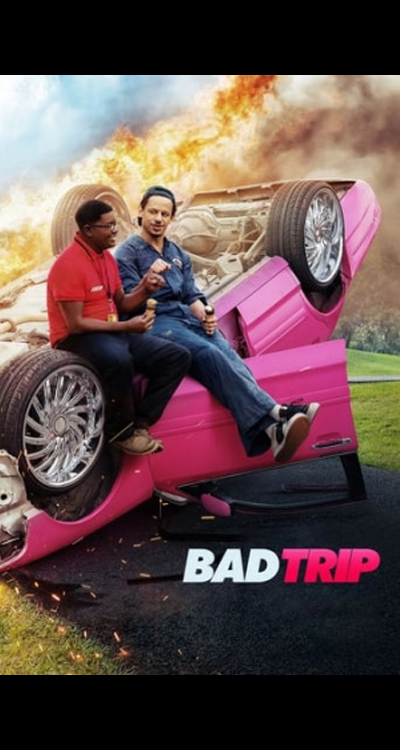 Bad Trip (2020) ทริปป่วนคู่อำ
